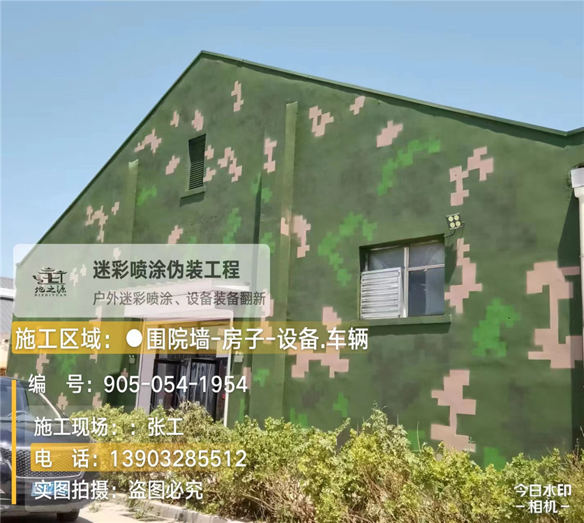 舒兰外墙数码迷彩漆施工报价清单（100㎡标准墙面测算）